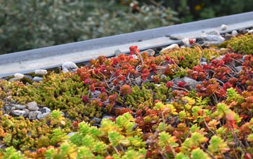 the cost of Briery Hill green roof installation
