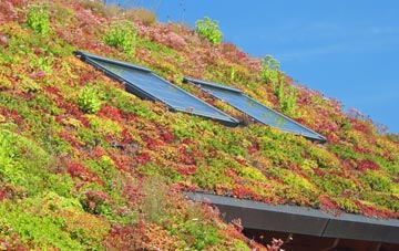 Briery Hill living roof systems